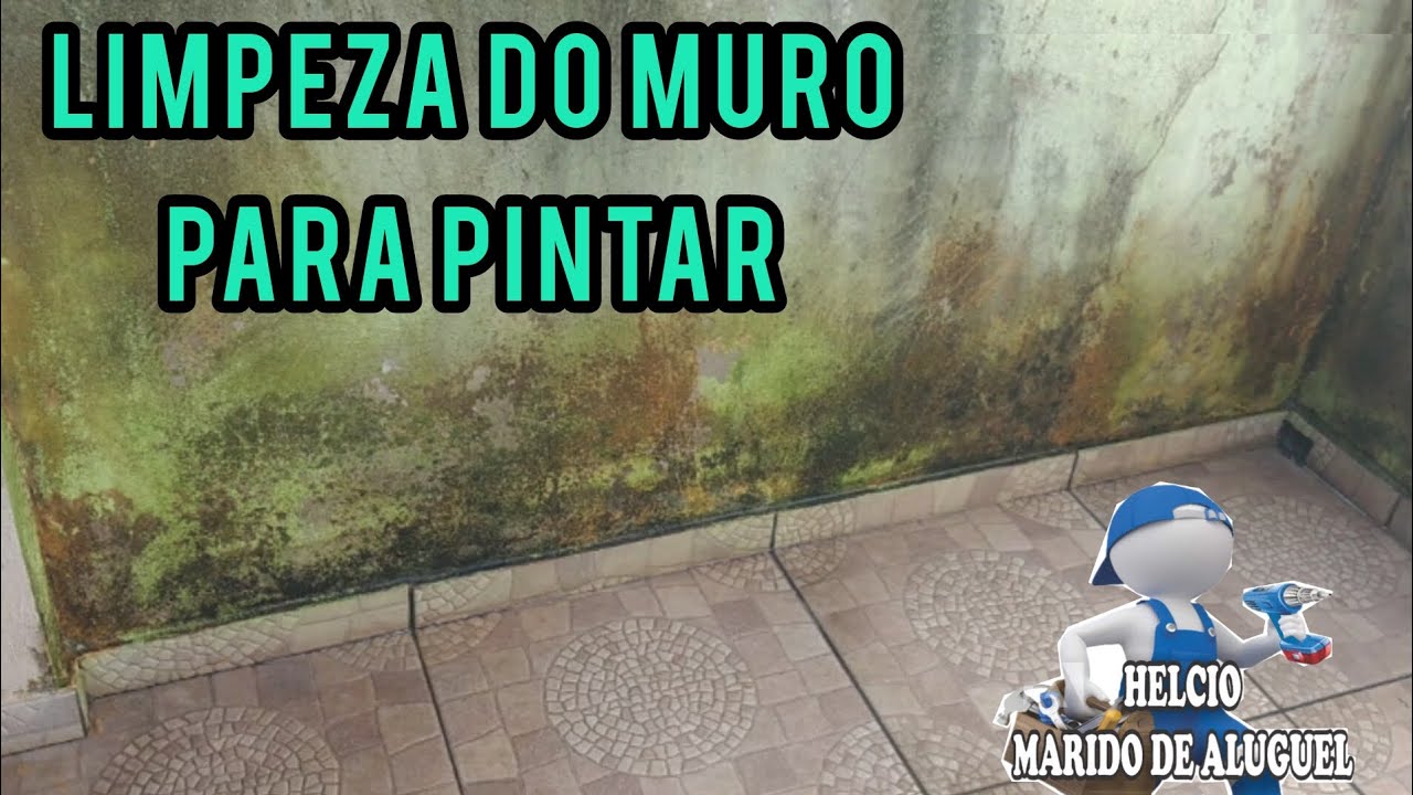 Como Limpar Parede com limo para Pintar