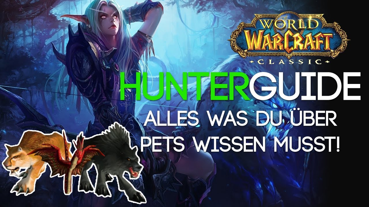 WoW Classic Hunter Guide Begleiter alles was ihr über Jäger Pets wissen müsst!