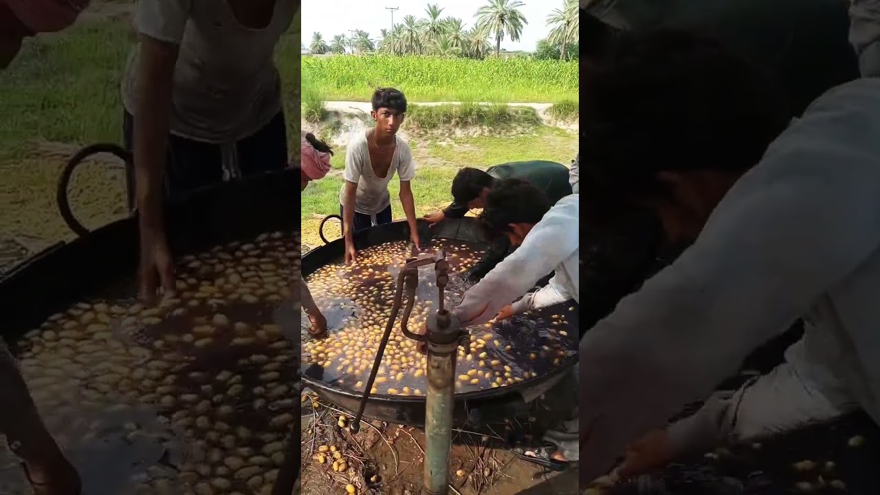 process for dry dates