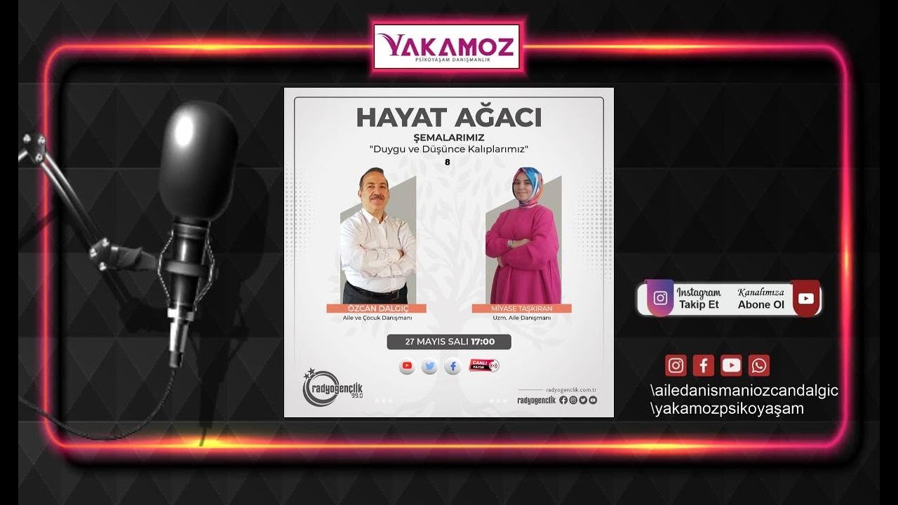 Hayat Ağacı / Şemalarımız 8 / Onay Arama Şeması / Yüksek Standartlar - Aşırı Başarı Şeması