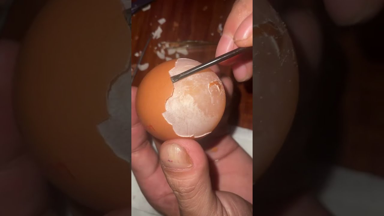 Raw egg peeling challenge : perfect Live