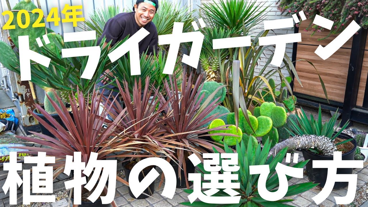 【ドライガーデンの植物を失敗しないで植える方法】