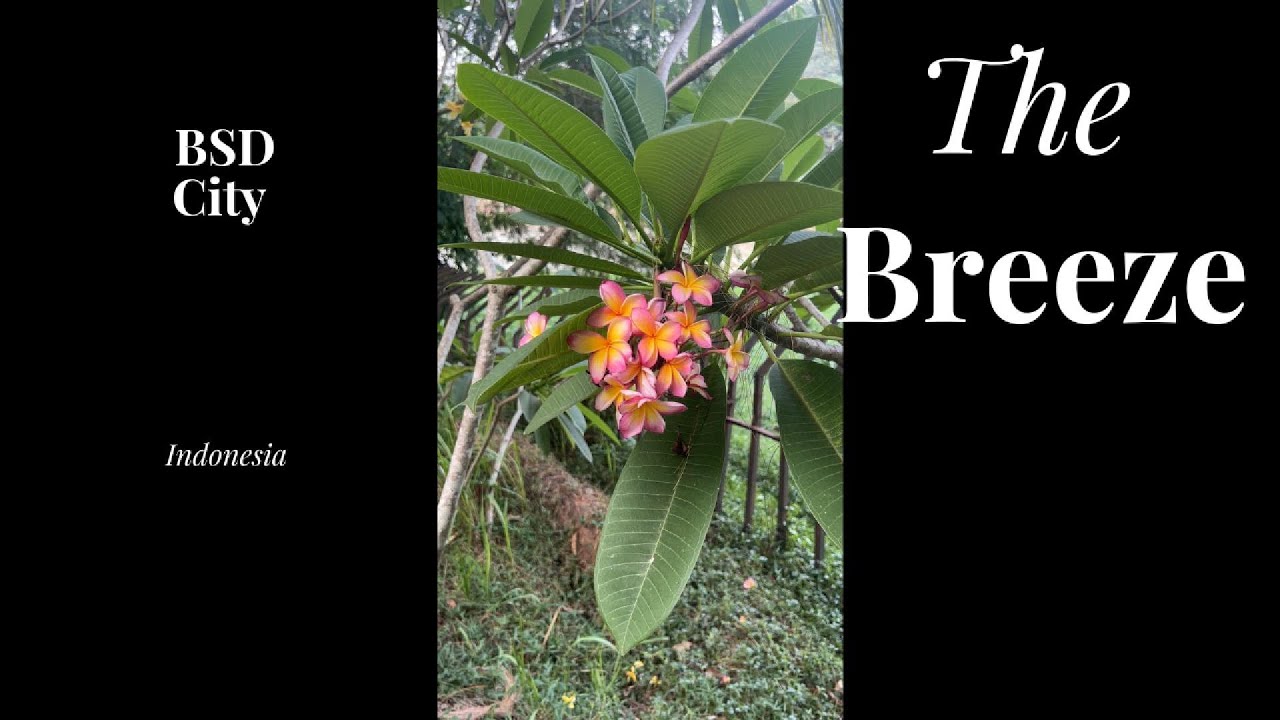 The Breeze: BSD City Indonesia  Oct. 2024
