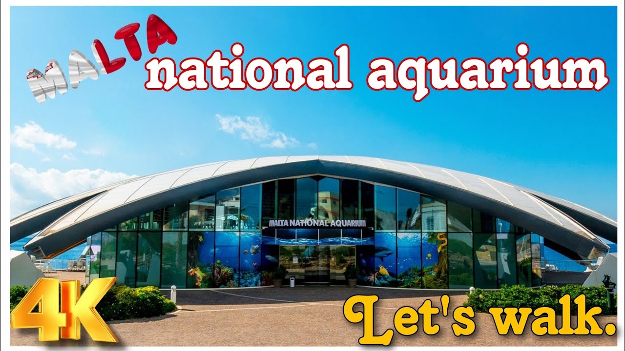 Malta national aquarium.