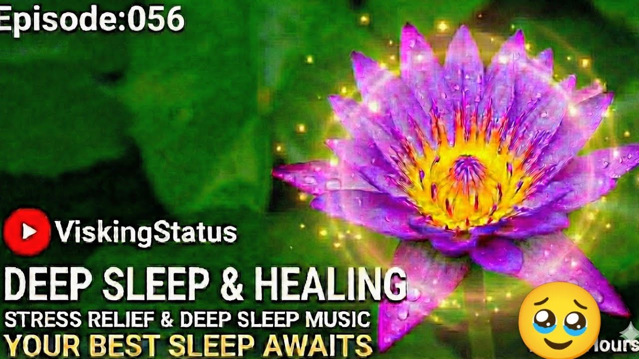 Ep:56 of the Relax series.Why watch this video?✅ Instant reduce anxiety.Cinematic Beauty. #relex #1