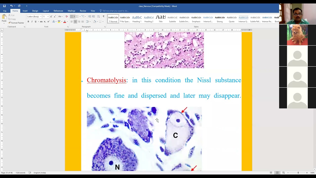 Pathology of Nervous System by Dr. Sanjiv Kumar, Department of Veterinary Pathology, BVC