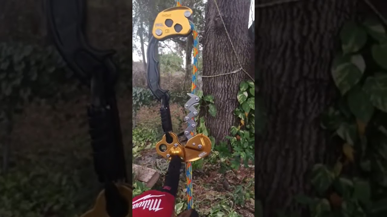 The Best On The Market #subscribe #SRT #treeclimbing #petzl #zigzag #notch
