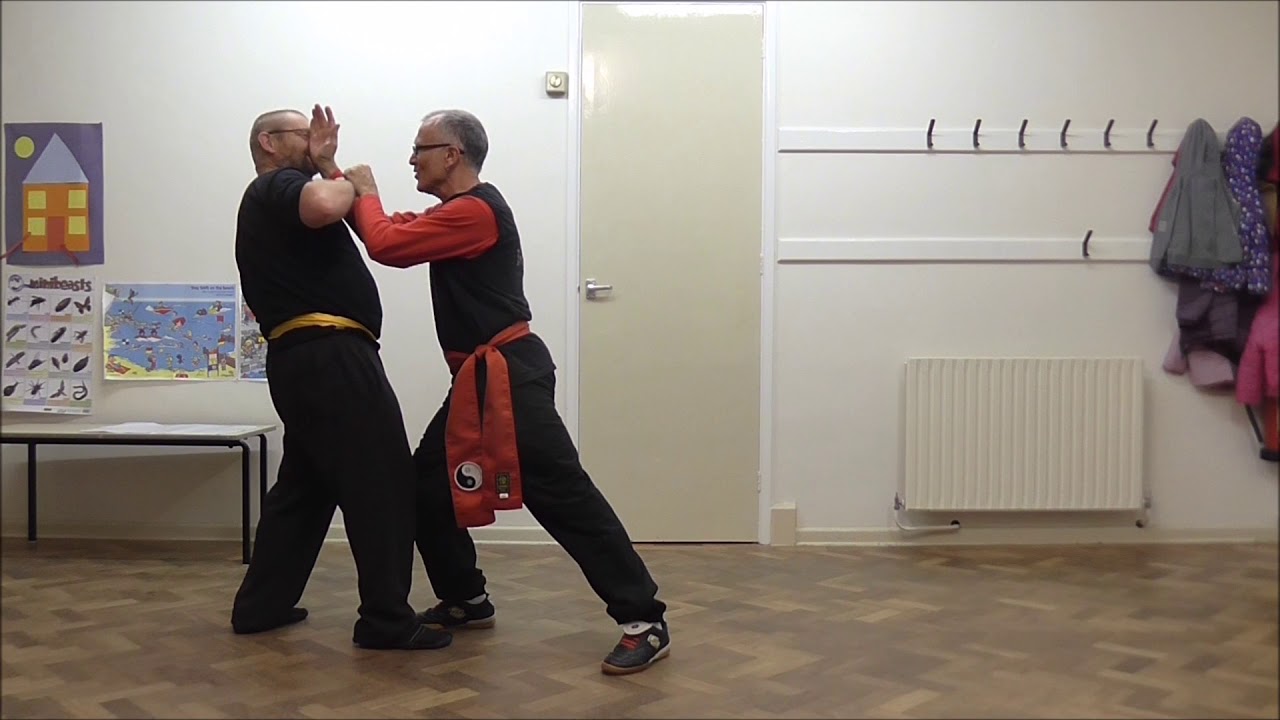 Lesson 12: The Wild Dog Retaliates. Li (Lee) Family Style T'ai Chi Ch'uan