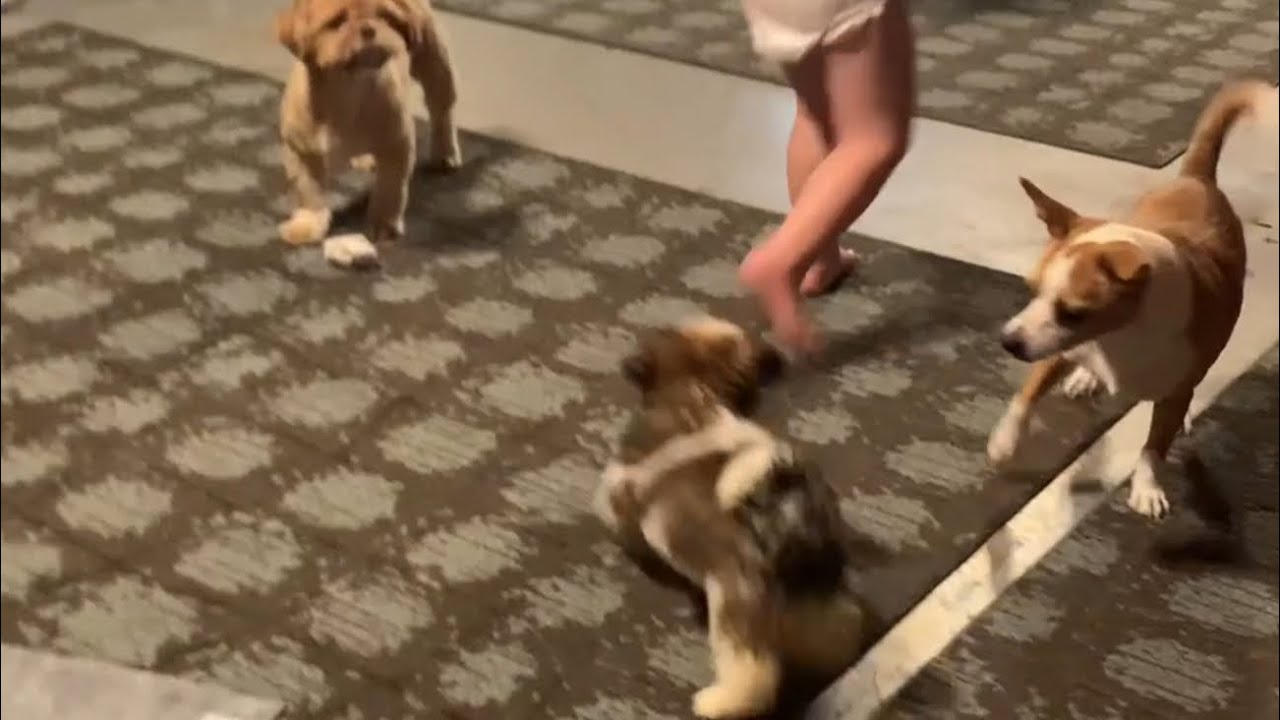 Friends Making Friends