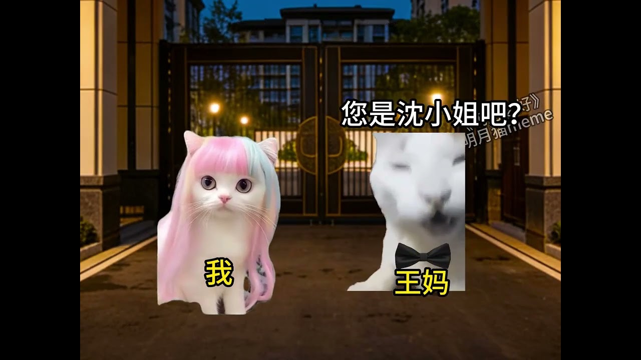 明月之好1+2合集#貓meme#貓#搞笑# #熱門