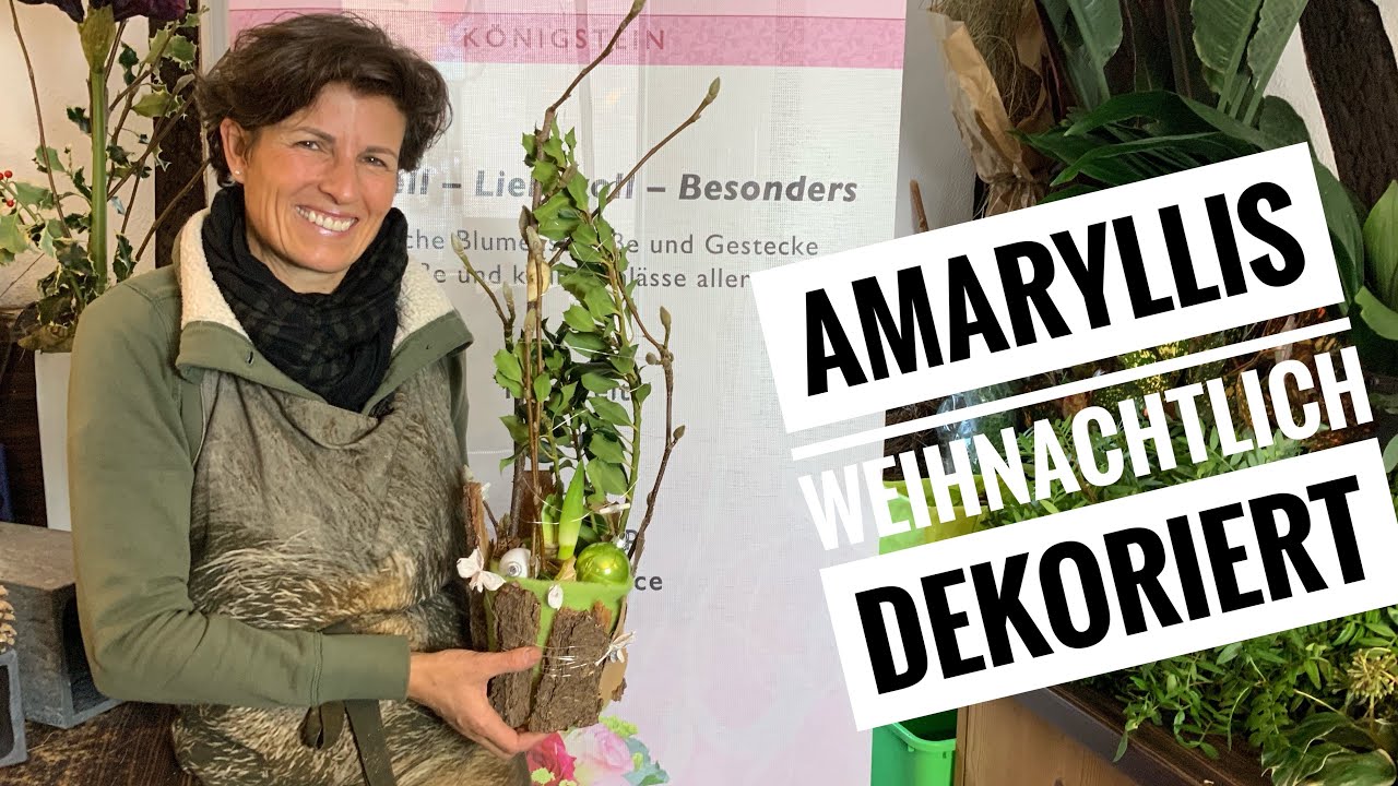AMARYLLIS WEIHNACHTLICH DEKORIERT mit Zweigen DIY Floristik-Anleitung Adventsdeko Tischdeko
