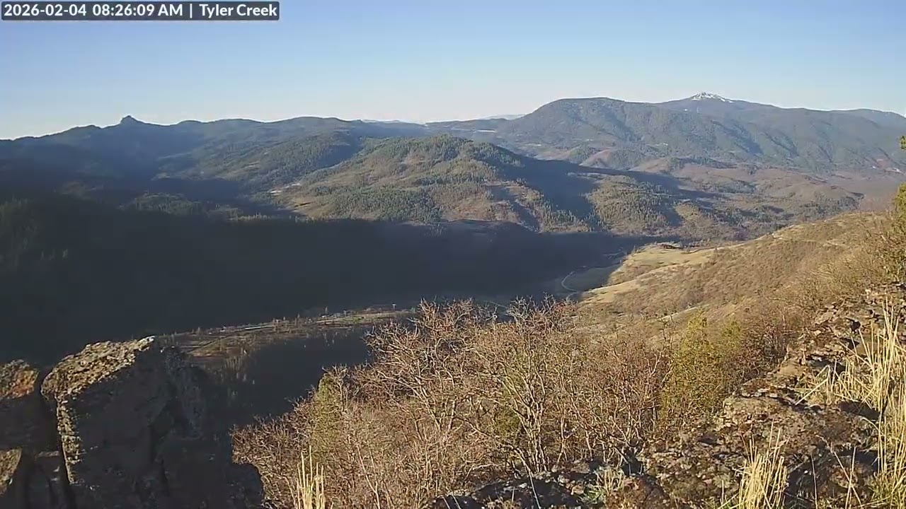 TylerCreek1-20260204