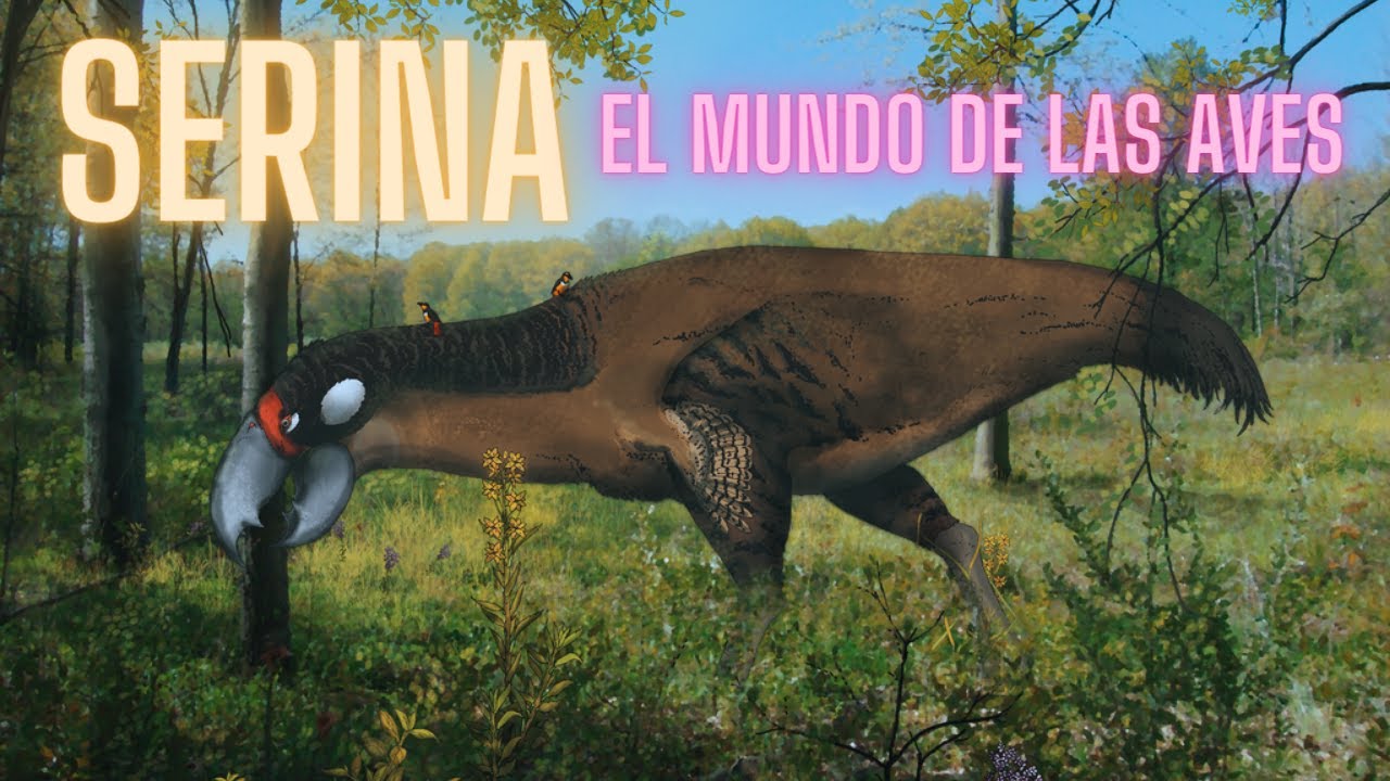 SERINA: EL MUNDO DE LAS AVES. La magia de la biología especulativa
