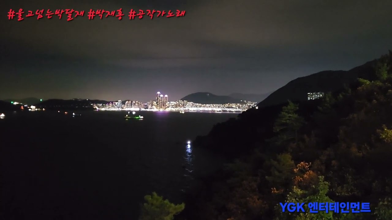 #울고넘는박달재 #박재홍 #공작가커버송 #부산남항 #야경
