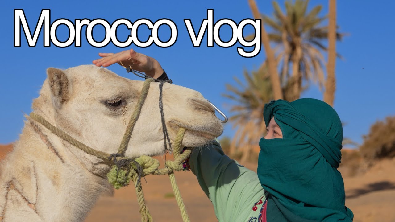모로코🇲🇦 4박6일 vlog(1탄) - 마라케시 입성, 핫산네 사막투어