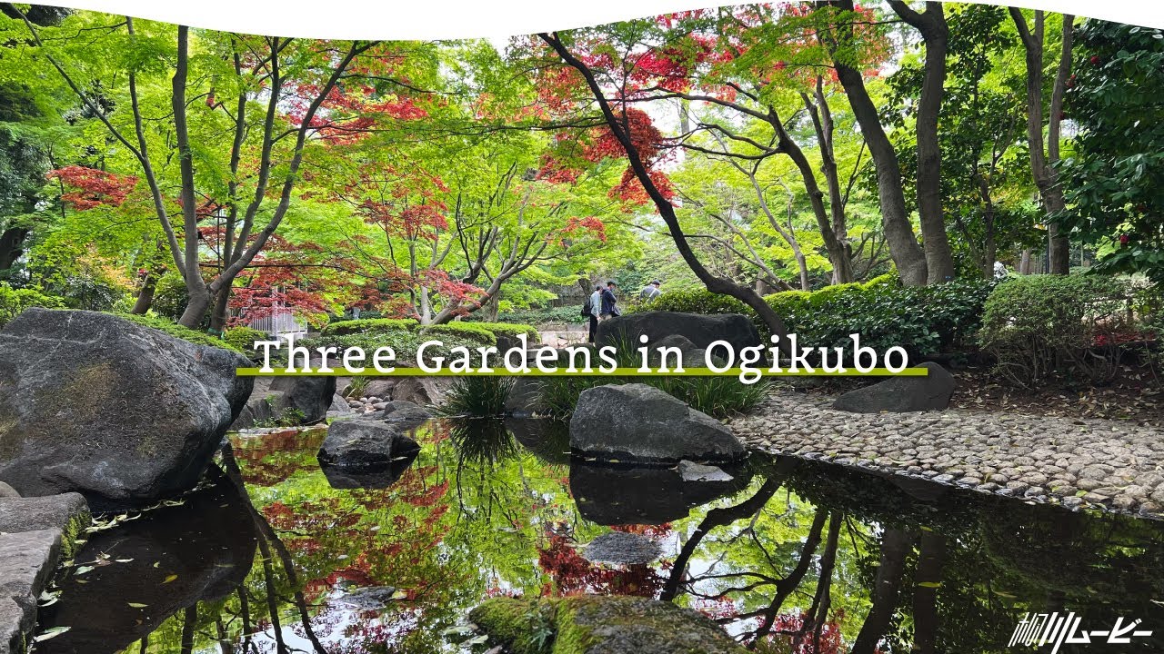 Tokyo Hidden Gem: Cultural Legacy & Historic Architecture at Ogikubo's Three Elegant Gardens.