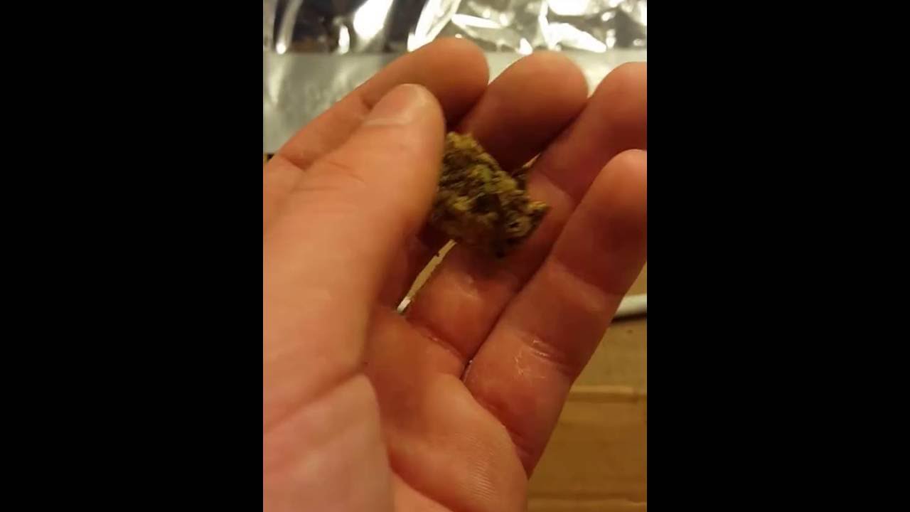 WCOG auto grow update #6 day 41