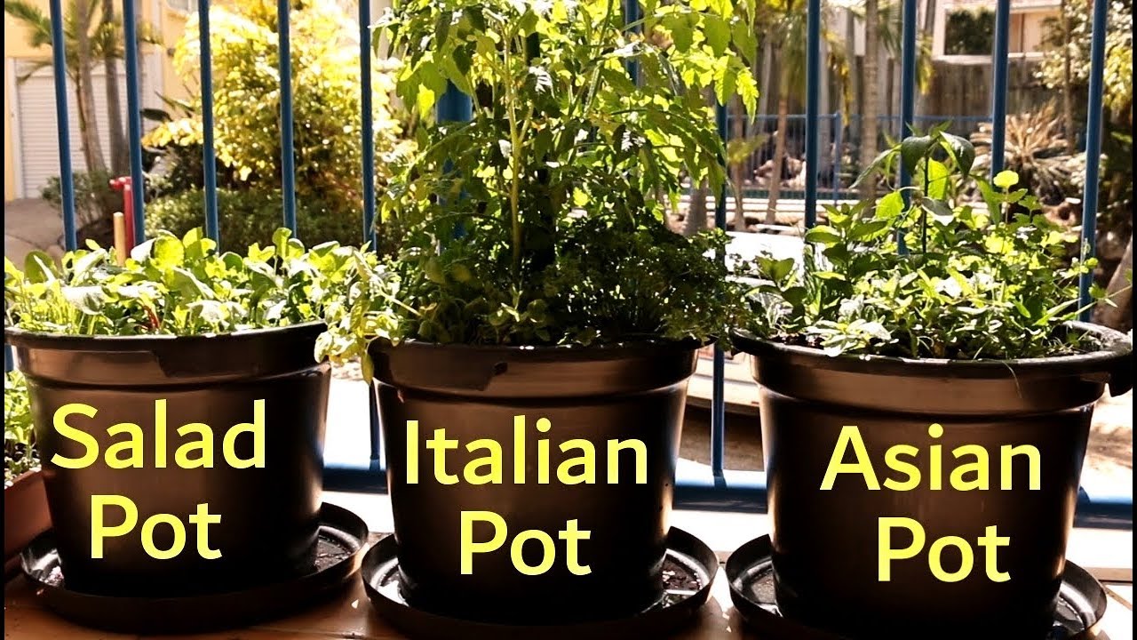 How to Grow a Vegetable Garden on a Balcony | Growing in Small Spaces Ep3 S1