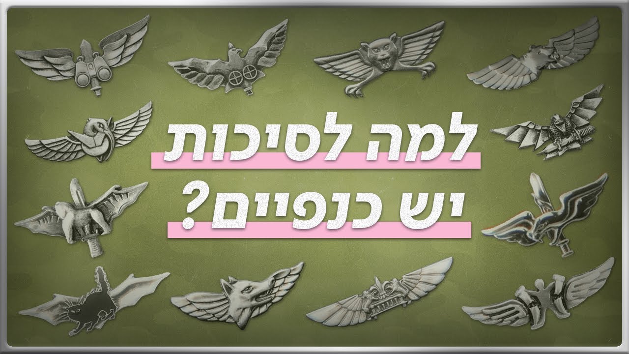 כאן סקרנים | מדוע סיכות הלוחם בצה