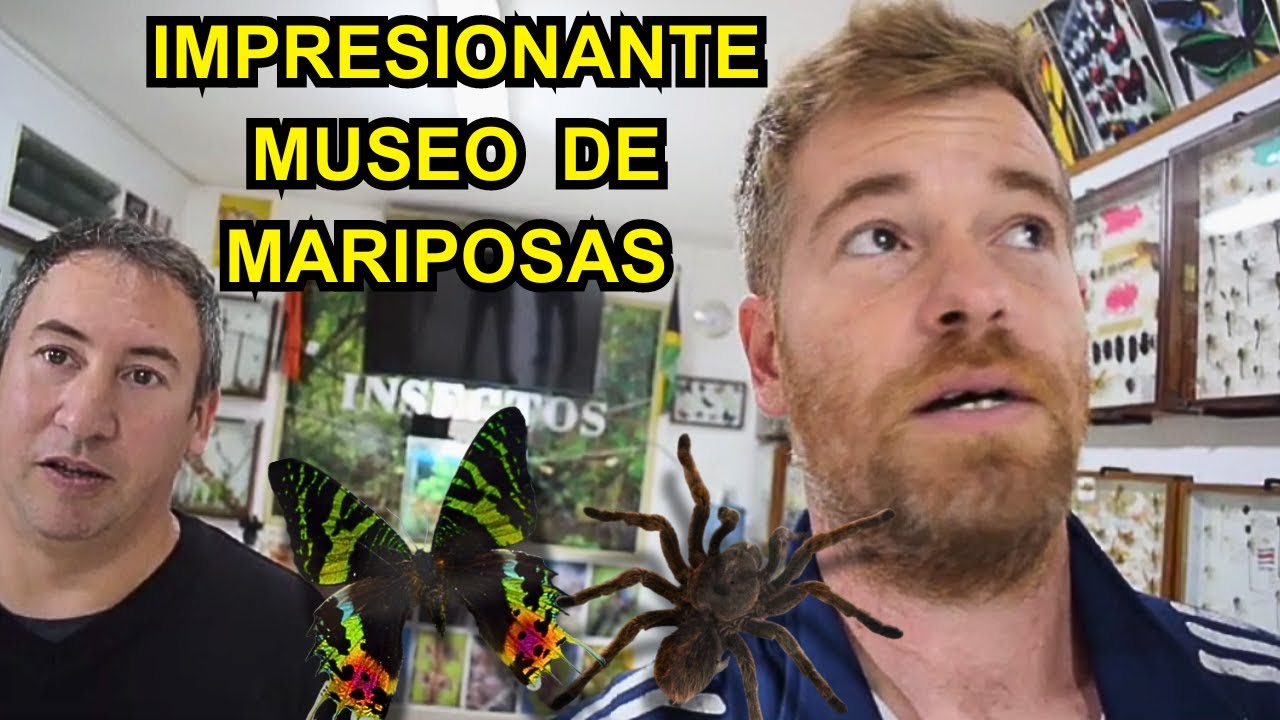 Cap. 1 🤯 INCREIBLE MUSEO DE MARIPOSAS DEL MUNDO. Ubicado en SAN MIGUEL, Buenos Aires, ARGENTINA.