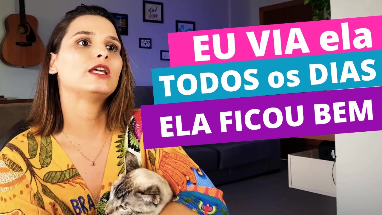 COMO DEIXAR o GATO SOZINHO?