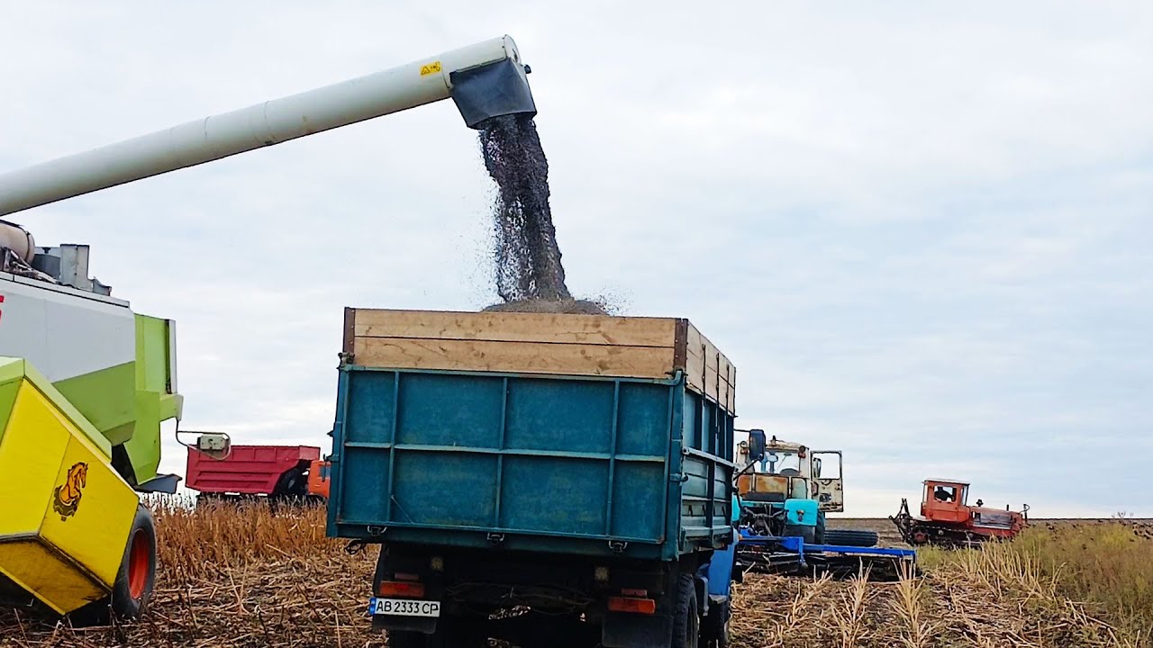 Жнива продовжуються  Ч 2