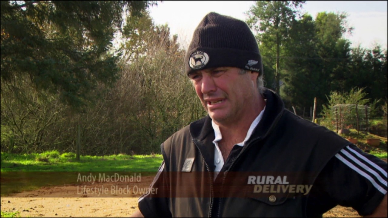 Edsell Forde Lifestyle Block Bloke