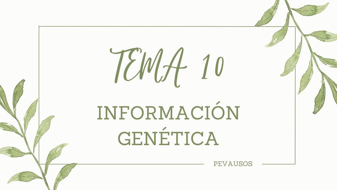 BIOLOGÍA SELECTIVIDAD. FLUJO DE INFORMACIÓN GENÉTICA (replicación, transcripción y traducción)