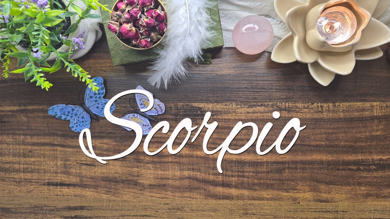 SCORPIO   😜⚖️⏲️ You lost patience!  This person felt pressured and slowed down.