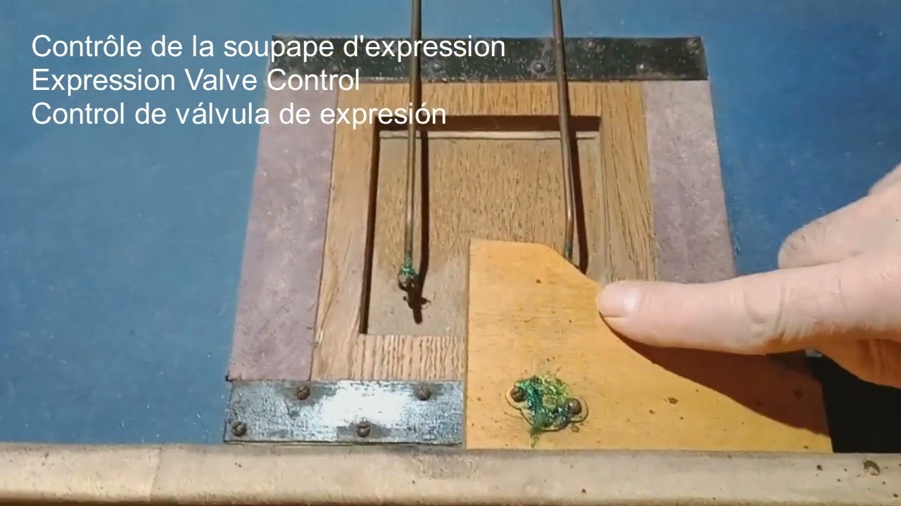 Contrôle final