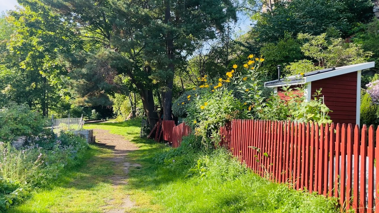 Stockholm Walks: Sunny September in the city gardens. Relaxing & beautiful.