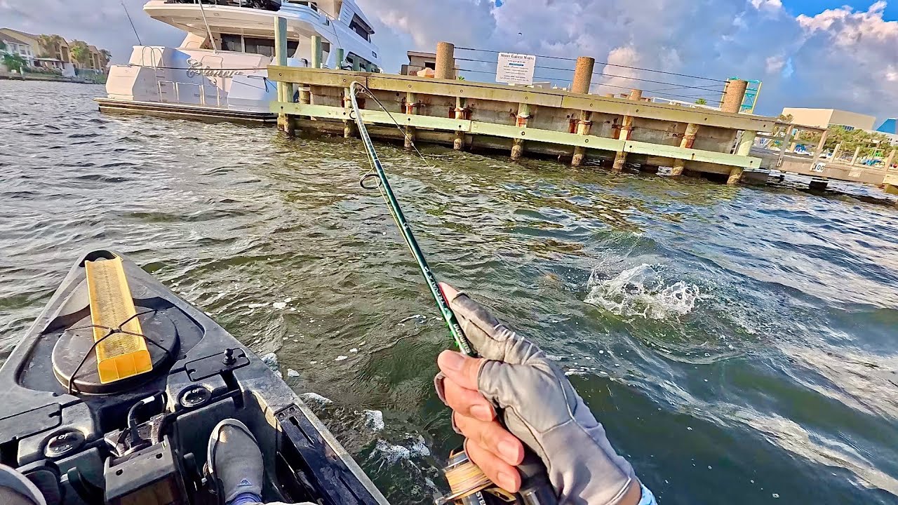 After two years I finally caught this massive monster! Deep water docks (S7 E81)