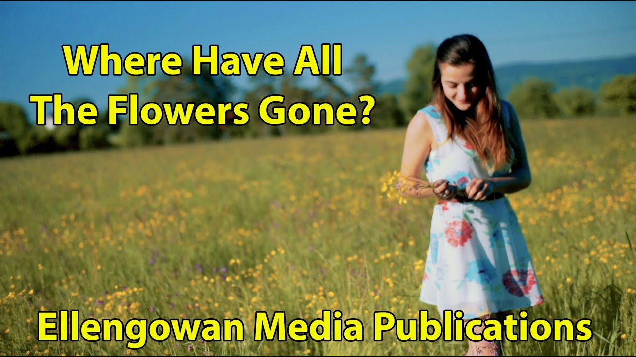 Where Have All The Flowers Gone