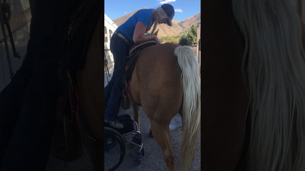 Wheelchair Wednesday: Pulling myself on my horse Maximus