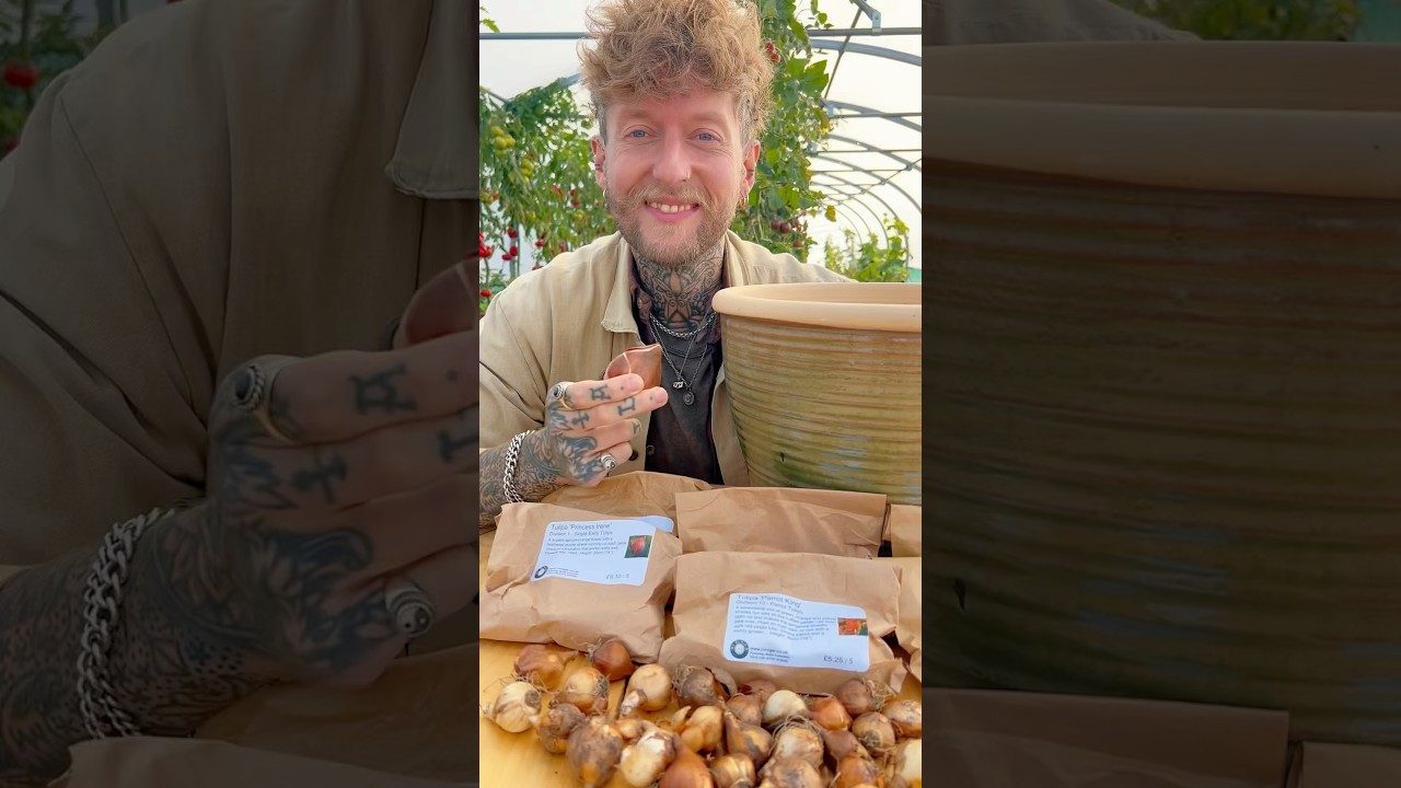 Make a Spring bulb Lasagne 🌱🌸 #vegetablegarden #springbulbs #gardeningtips