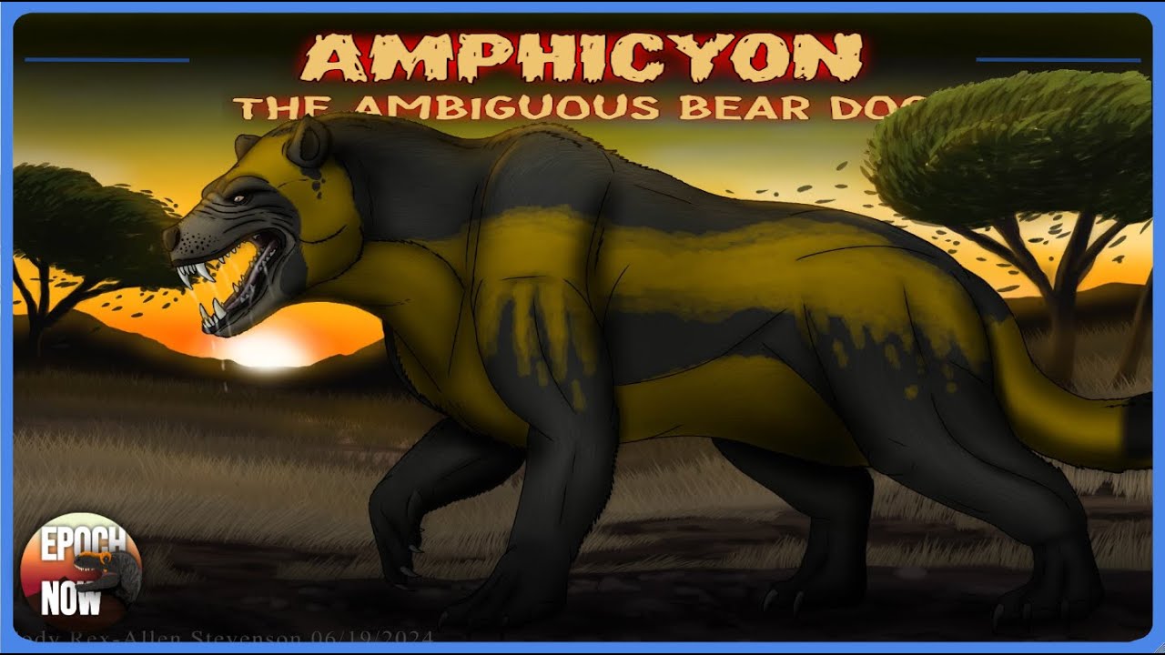 Amphicyon: The Ambiguous Bear Dog