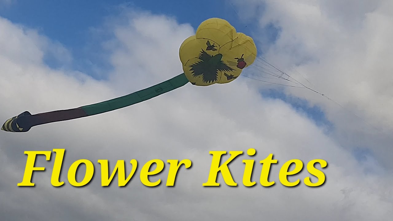 Fantastic Flower Kites - Weihnachtsimpressionen - Christmas Impressions