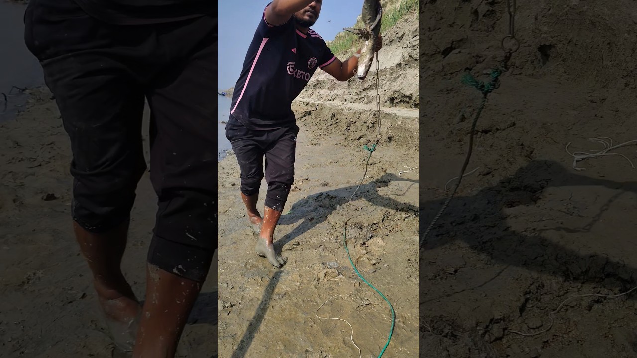 catfish hunting technique in deadsee river #fish #catfish
