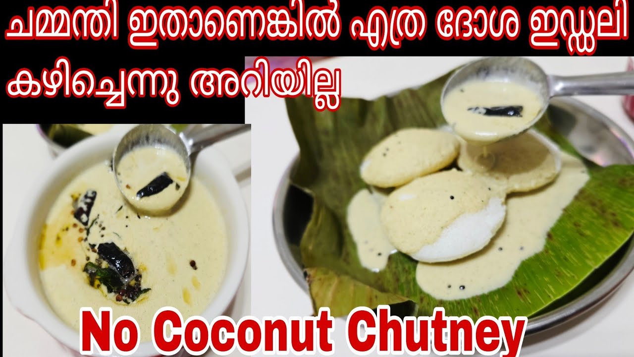 വെള്ള ചമ്മന്തി ഇങ്ങനെ ചെയ്തു നോക്കൂ | Chutney Without Coconut |Side dish for Idli , Dosa| Chutney