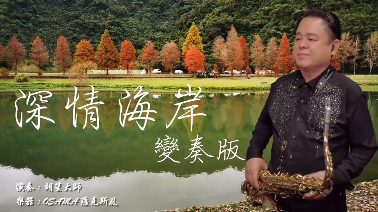 深情海岸雙版本/胡笙薩克斯風