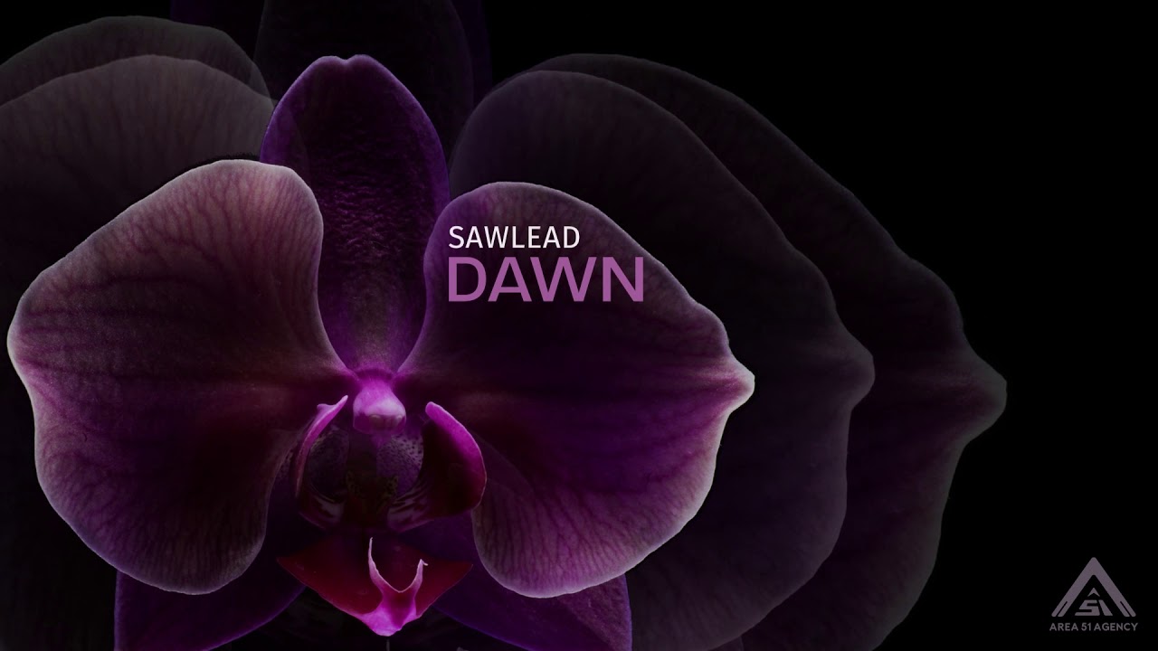 Sawlead - Communicate