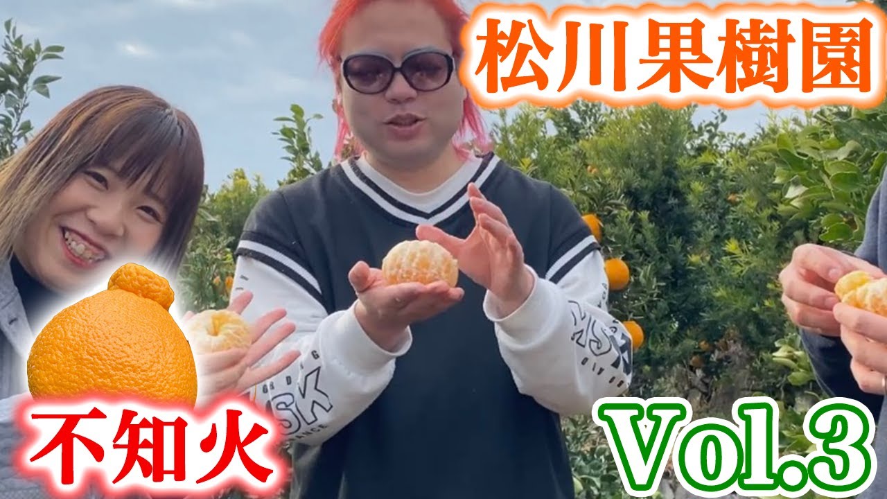 【不知火】松川果樹園 / 熊本県宇城市不知火町 Vol.3