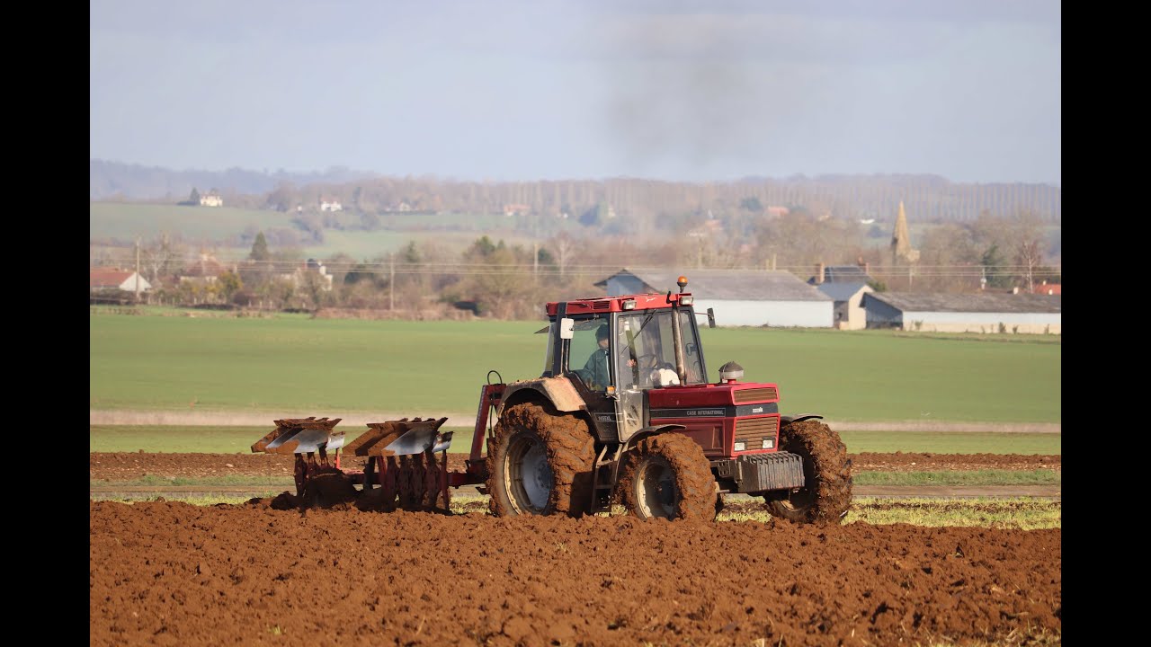 Labour d'hiver / Case 1455XL / DEMBLON