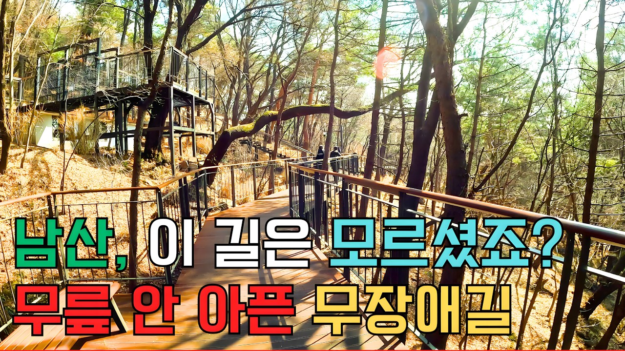 남산의 숨겨진 보물길 발견, 회현역에서 남산타워까지 가장 조용하고 예쁜 코스