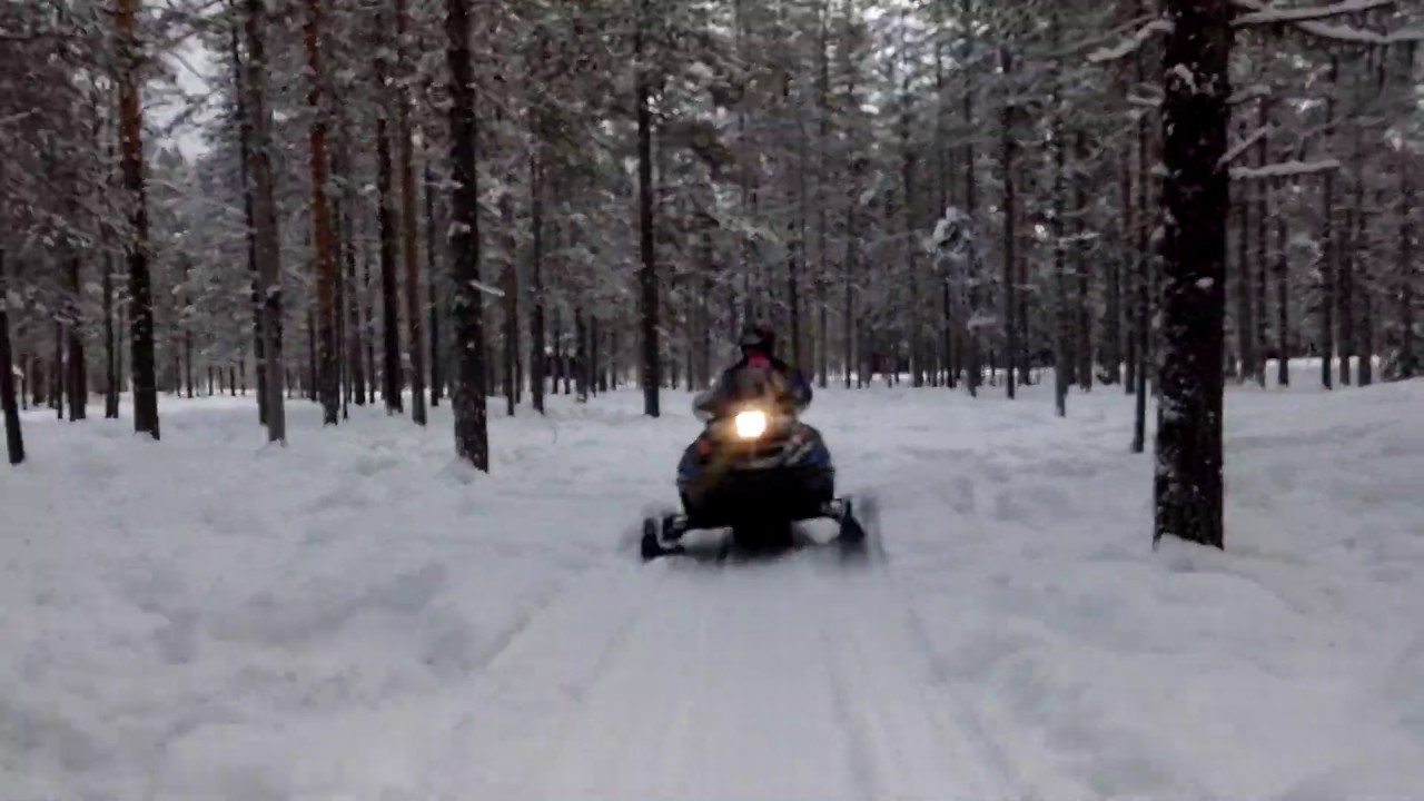 Snowscooter trail near Långforskojan - Bjurholm  (SE)