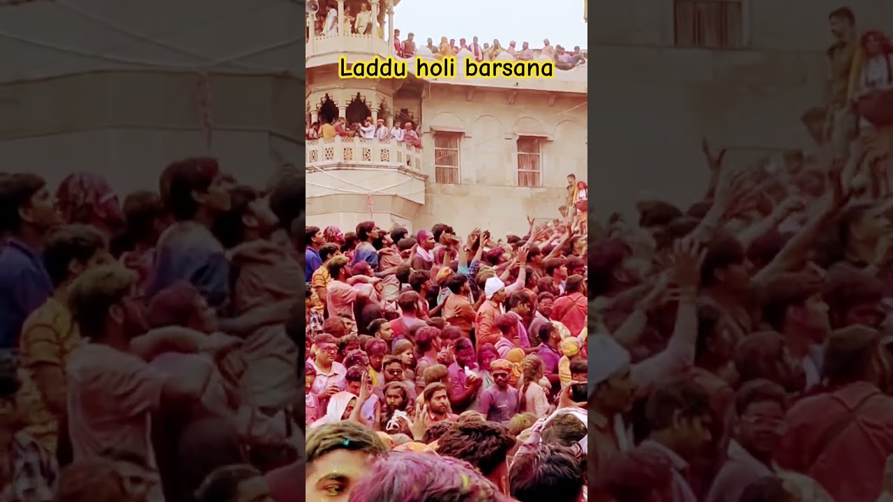 Laddu holi barsana #radharani #barsana #bankebihari #viral #support #holi