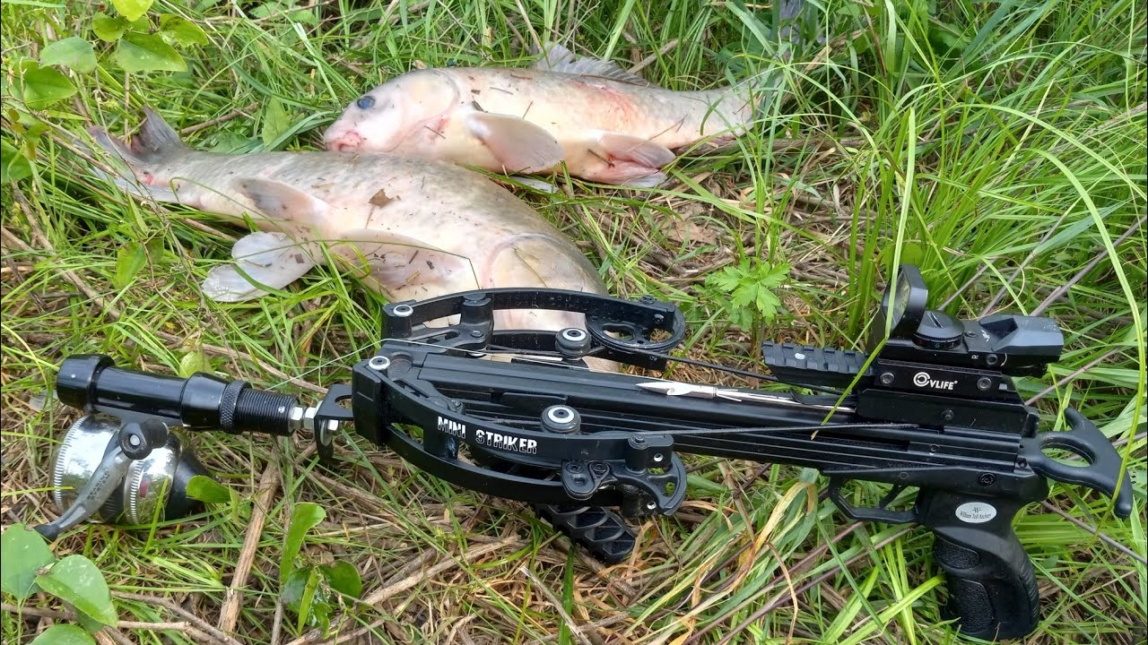 NEW Fishing Arrow...Mini Striker Pistol Crossbows