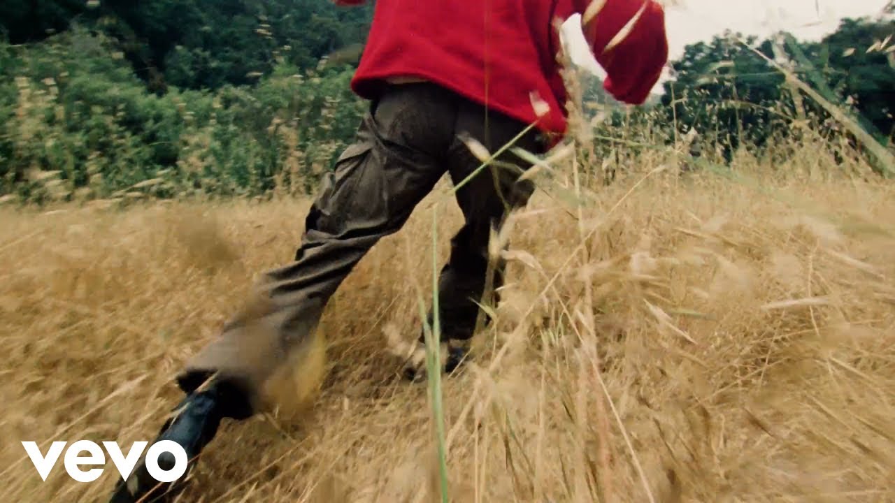Del Water Gap - Marigolds (Official Visualizer)