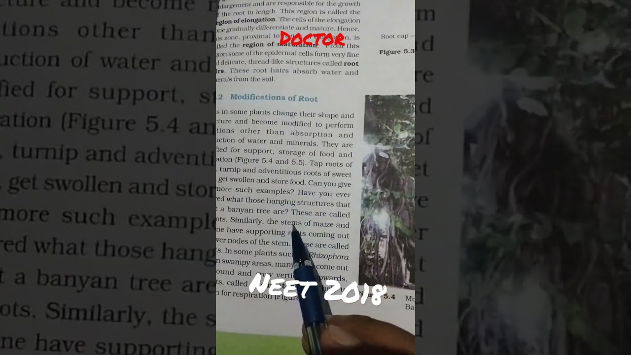 #neet
