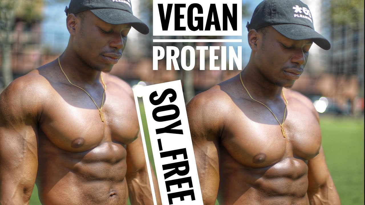 Plant Based Protein Sources | Vegan Protein Soy Free